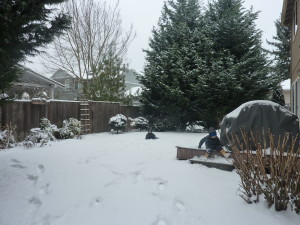 Our backyard with the boys and the snow