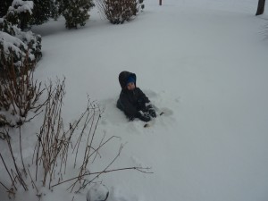 Elias sitting in the deep snow of our front lawn.